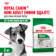 Royal Canin Mini Adult Корм сухой для взрослых собак мелких размеров от 10 месяцев