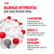Royal Canin Mini Adult Корм сухой для взрослых собак мелких размеров от 10 месяцев