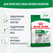 Royal Canin Mini Adult 8+ корм для пожилых собак мелких пород