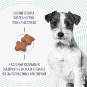 Royal Canin Mini Adult 8+ корм для пожилых собак мелких пород