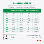 Royal Canin Mini Adult 8+ корм для пожилых собак мелких пород