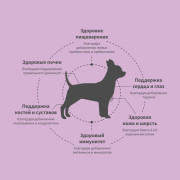 Grandorf FRESH DOG Duck MINI корм сухой для особо аллергичных взрослых собак мелких пород с чувствительным пищеварением, утка с бататом
