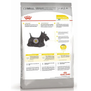 Royal Canin Mini Dermacomfort Корм сухой для взрослых собак мелких размеров при раздражениях и зуде кожи