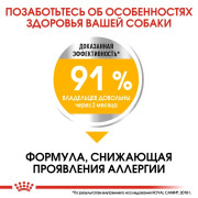 Royal Canin Mini Dermacomfort Корм сухой для взрослых собак мелких размеров при раздражениях и зуде кожи