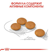 Royal Canin Mini Dermacomfort Корм сухой для взрослых собак мелких размеров при раздражениях и зуде кожи