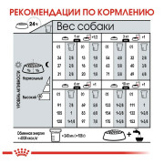Royal Canin Mini Dermacomfort Корм сухой для взрослых собак мелких размеров при раздражениях и зуде кожи
