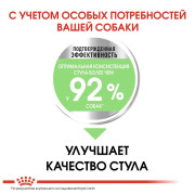 Royal Canin Mini Digestive Care Корм сухой для взрослых собак мелких размеров с чувствительным пищеварением