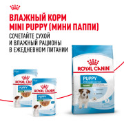 Royal Canin Mini Puppy Корм сухой полнорационный для щенков мелких пород (вес взрослой собаки до 10 кг) в возрасте до 10 месяцев