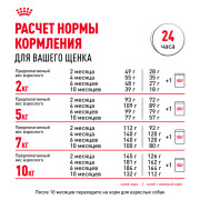 Royal Canin Mini Puppy Корм сухой полнорационный для щенков мелких пород (вес взрослой собаки до 10 кг) в возрасте до 10 месяцев