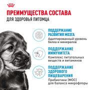 Royal Canin Mini Puppy Корм сухой полнорационный для щенков мелких пород (вес взрослой собаки до 10 кг) в возрасте до 10 месяцев