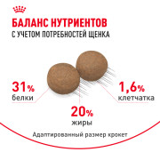 Royal Canin Mini Puppy Корм сухой полнорационный для щенков мелких пород (вес взрослой собаки до 10 кг) в возрасте до 10 месяцев