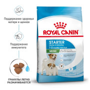 Royal Canin Mini Starter Mother & Babydog Корм для щенков мелких пород до 2-х месяцев, беременных и кормящих сук