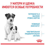 Royal Canin Mini Starter Mother & Babydog Корм для щенков мелких пород до 2-х месяцев, беременных и кормящих сук