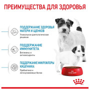 Royal Canin Mini Starter Mother & Babydog Корм для щенков мелких пород до 2-х месяцев, беременных и кормящих сук