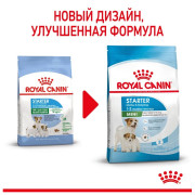 Royal Canin Mini Starter Mother & Babydog Корм для щенков мелких пород до 2-х месяцев, беременных и кормящих сук