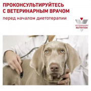 Royal Canin Mobility MC25 C2P+ консервы для собак при заболеваниях опорно-двигательного аппарата