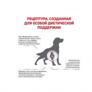 Royal Canin Mobility MC25 C2P+ корм для собак при заболеваниях опорно-двигательного аппарата