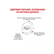 Royal Canin Mobility MC25 C2P+ корм для собак при заболеваниях опорно-двигательного аппарата