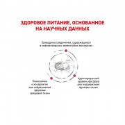 Royal Canin Mobility MC28 для кошек при заболеваниях опорно-двигательного аппарата
