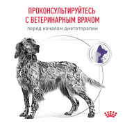 Royal Canin Neutered Medium Adult Корм сухой для стерилизованных взрослых собак средних пород (от 11 до 25 кг) или склонных к набору веса