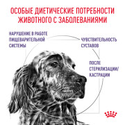 Royal Canin Neutered Medium Adult Корм сухой для стерилизованных взрослых собак средних пород (от 11 до 25 кг) или склонных к набору веса