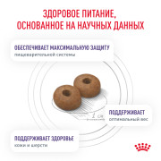 Royal Canin Neutered Medium Adult Корм сухой для стерилизованных взрослых собак средних пород (от 11 до 25 кг) или склонных к набору веса