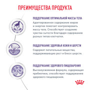 Royal Canin Neutered Medium Adult Корм сухой для стерилизованных взрослых собак средних пород (от 11 до 25 кг) или склонных к набору веса