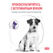 Royal Canin Neutered Adult Small Dogs Корм сухой полнорационный для стерилизованных собак весом до 10 кг или взрослых собак мелких пород, склонных к набору веса