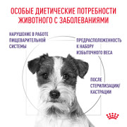 Royal Canin Neutered Adult Small Dogs Корм сухой полнорационный для стерилизованных собак весом до 10 кг или взрослых собак мелких пород, склонных к набору веса