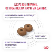 Royal Canin Neutered Adult Small Dogs Корм сухой полнорационный для стерилизованных собак весом до 10 кг или взрослых собак мелких пород, склонных к набору веса