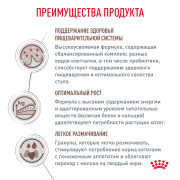 Royal Canin Gastrointestinal Kitten корм сухой диетический для котят в возрасте от 2 до 10 месяцев при нарушениях пищеварения