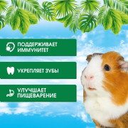 Happy Jungle корм для морских свинок