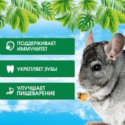 Happy Jungle корм для шиншилл