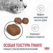 Royal Canin Oral Care корм для профилактики образования зубного налета