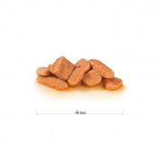 Royal Canin Pediatric Weaning Kitten консервы для котят от 4 недель до 4 месяцев