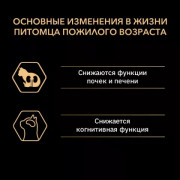 Purina Pro Plan Senior Original 7+ корм сухой для взрослых кошек старше 7 лет, с лососем