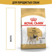 Royal Canin Pug Adult Корм сухой для взрослых собак породы Мопс от 10 месяцев