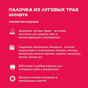 Little One палочки из луговых трав с топпингом для грызунов, ассорти цветки календулы, морковь или лепестки роз
