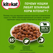 Kitekat корм консервированный для кошек лакомый ягнёнок в соусе
