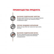 Royal Canin Recovery Canin/Feline консервы диета для собак и кошек в период выздоровления