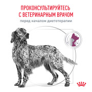 Royal Canin Renal RF 14 Canine Корм сухой диетический для взрослых собак для поддержания функции почек при острой или хронической болезни почек