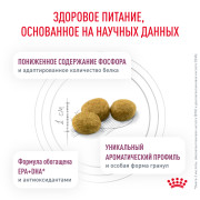 Rоyal Canin Renal RF23 корм для кошек для поддержания функции почек