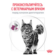 Rоyal Canin Renal RF23 корм для кошек для поддержания функции почек