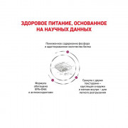 Royal Canin Renal Select корм для кошек с хронической почечной недостаточностью