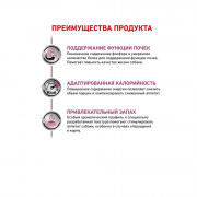 Royal Canin Renal Special консервы диета для привередливых собак при хронической почечной недостаточности