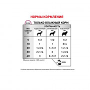 Royal Canin Renal Special консервы диета для привередливых собак при хронической почечной недостаточности
