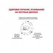 Royal Canin Renal Special FELINE корм для кошек при хронической почечной недостаточности