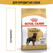 Royal Canin Rottweiller Корм сухой для взрослых собак породы Ротвейлер от 18 месяцев