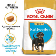 Royal Canin Rottweiler Puppy Корм сухой  для щенков породы Ротвейлер до 18 месяцев