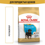 Royal Canin Rottweiler Puppy Корм сухой  для щенков породы Ротвейлер до 18 месяцев